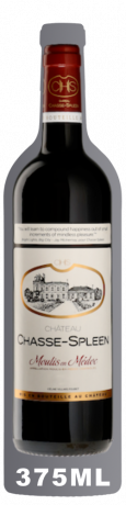 Chateau Chasse Spleen 2019 Moilis en Medoc