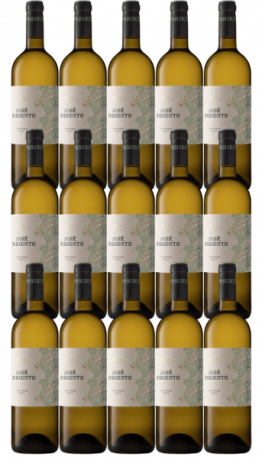 Jose Pariente 2023 Sauvignon Blanc im 15er Paket