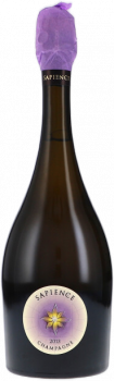 Champagne Marguet Sapience 2013 Brut Nature erhalten Sie bei uns für 185€ je Flasche