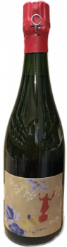 Champagne Robert Dufour The ballad of the villages brut nature récolte 2004