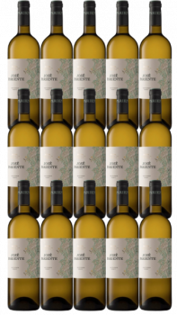 Jose Pariente 2022 Sauvignon Blanc im 15er Paket