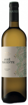 Flasche Jose Pariente Rueda Sauvignon Blanc 2021 Weisswein