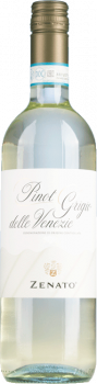 Zenato 2025 Pinot Grigio DOC trocken